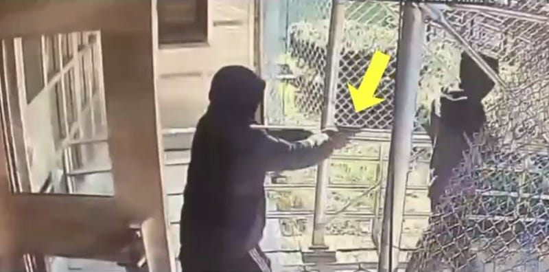 FedEx Shooting