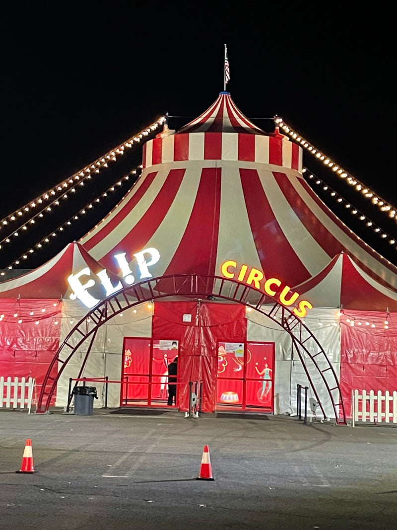 Flip Circus