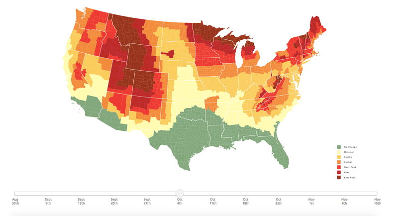 Fall foliage timeline for Southeast Michigan: