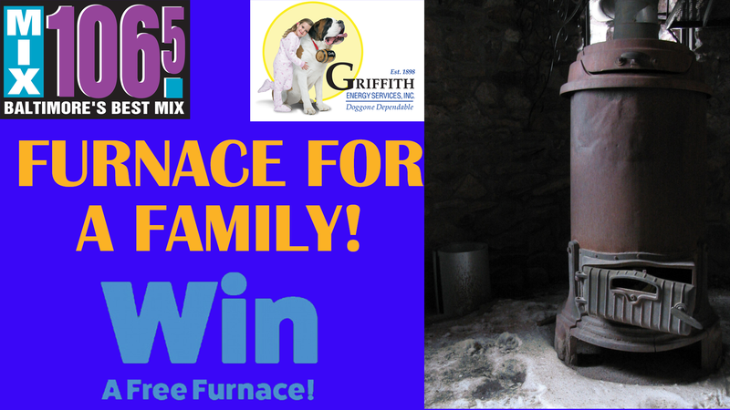 Furance for a family