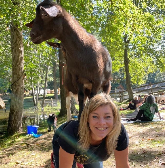 Michelle from Goats to Go
