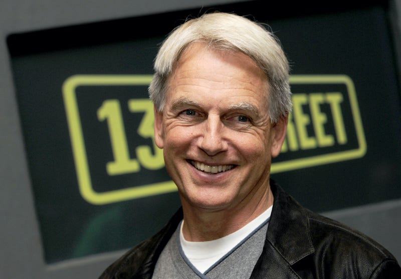 Actor Mark Harmon attends the photocall at the Bayerischen Hof on May 25, 2010 in Munich, Germany