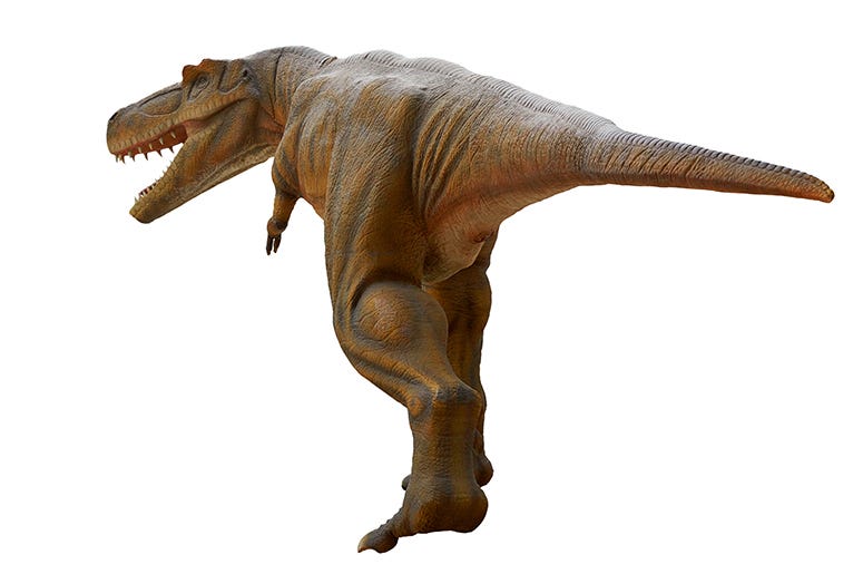 Dinosaur butt