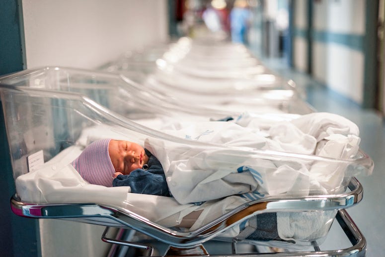 Newborn babies laying in bed in hospital