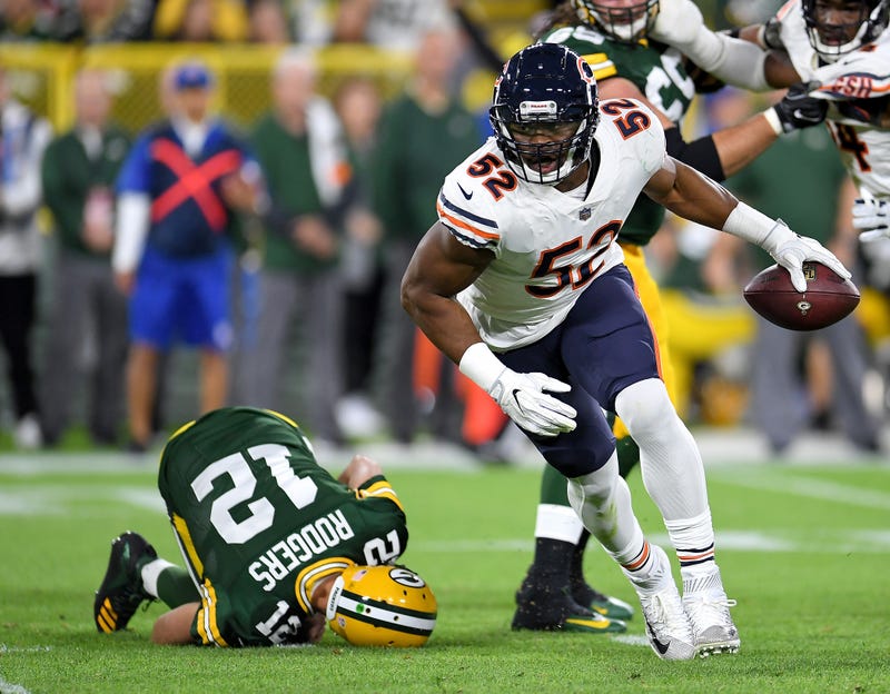 Bears