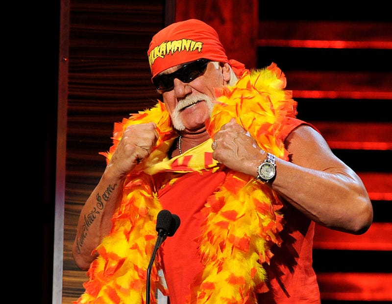 Wrestler Hulk Hogan speaks onstage at the Comedy Central Roast Of David Hasselhoff held at Sony Pictures Studios on August 1, 2010 in Culver City, California.