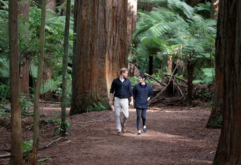 Prince Harry, Duke of Sussex and Meghan, Duchess of Sussex visit Redwoods Tree Walk on October 31, 2018 in Rotorua, New Zealand. The Duke and Duchess of Sussex are on the final day of their official 16-day Autumn tour visiting cities in Australia, Fiji, Tonga and New Zealand.