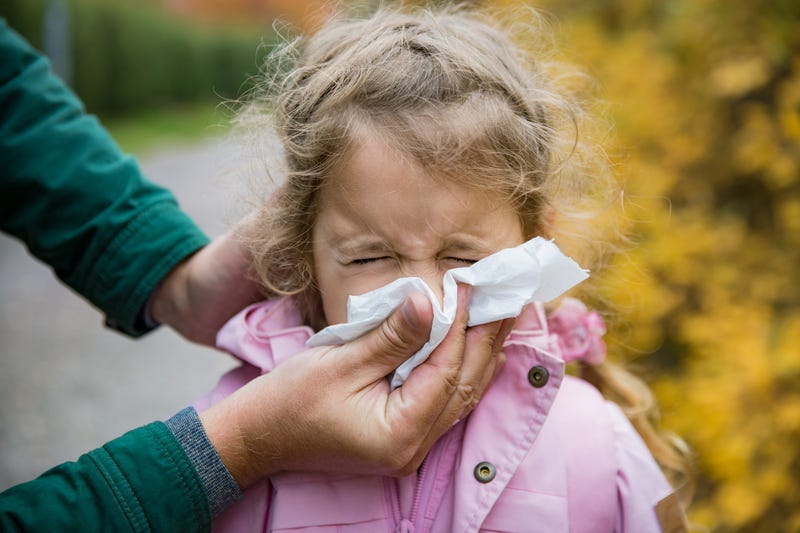 A little girl blows her nose