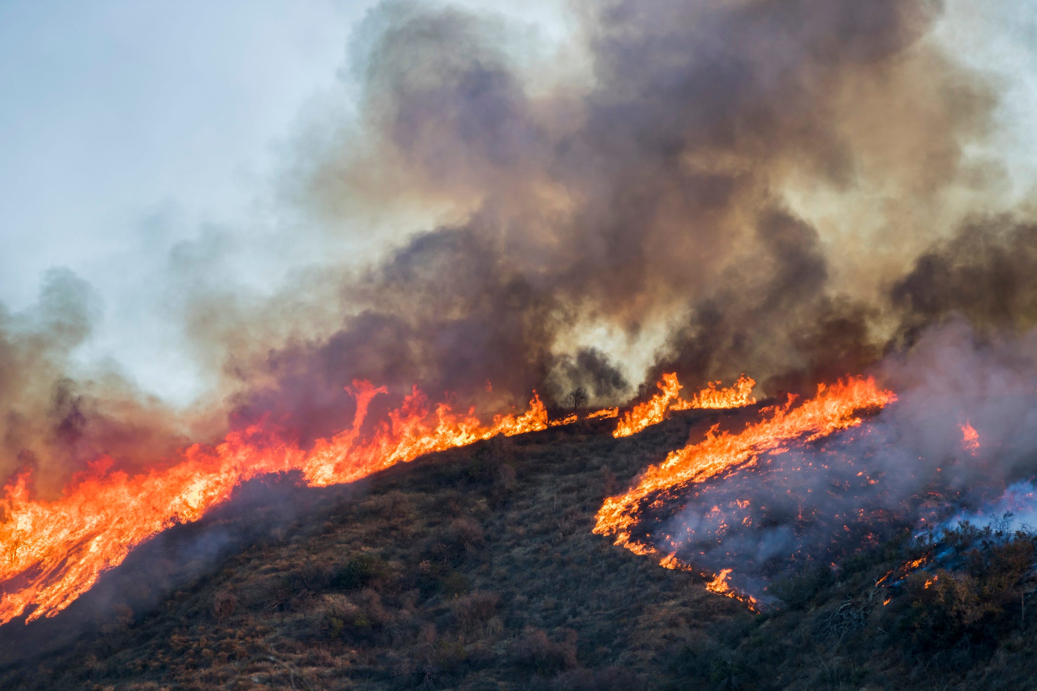 fort-worth-fire-crew-returns-from-battling-wildfires