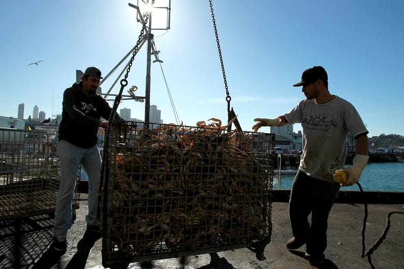 While California’s commercial crab season will open in the northern part of the state on Dec. 1, Bay Area fishermen will have to wait until at least Dec. 15 to catch crab.