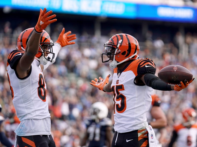 Cincinnati Bengals