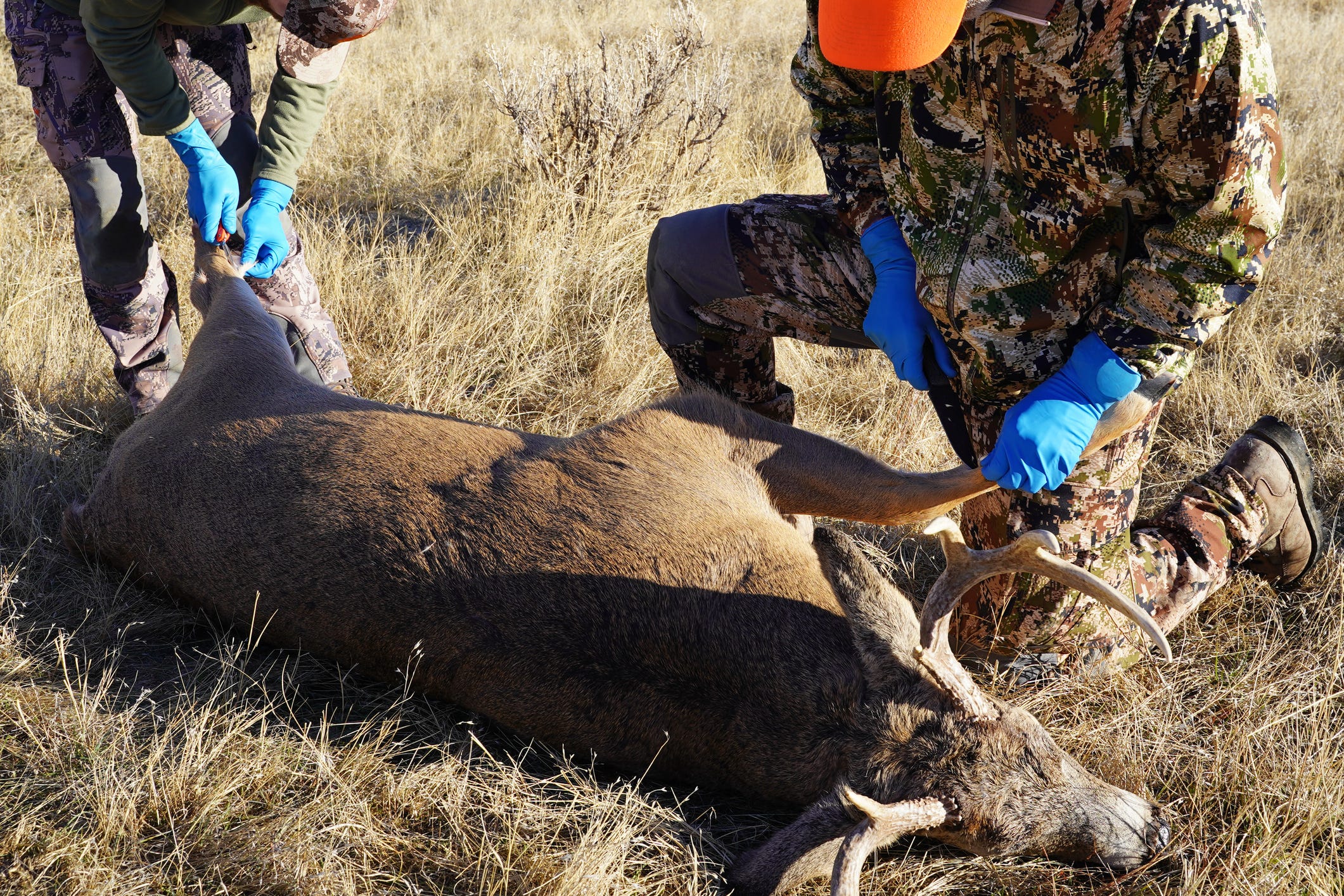 Sunday hunting no longer banned in Pennsylvania