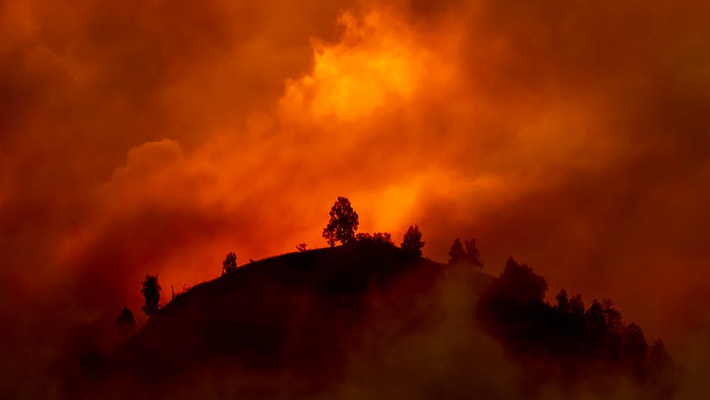 wildfire