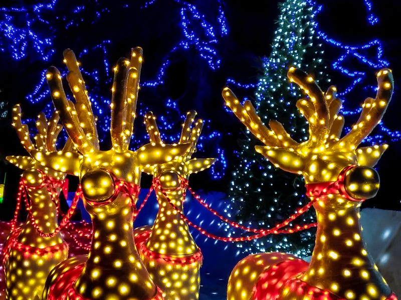 Holiday Lights