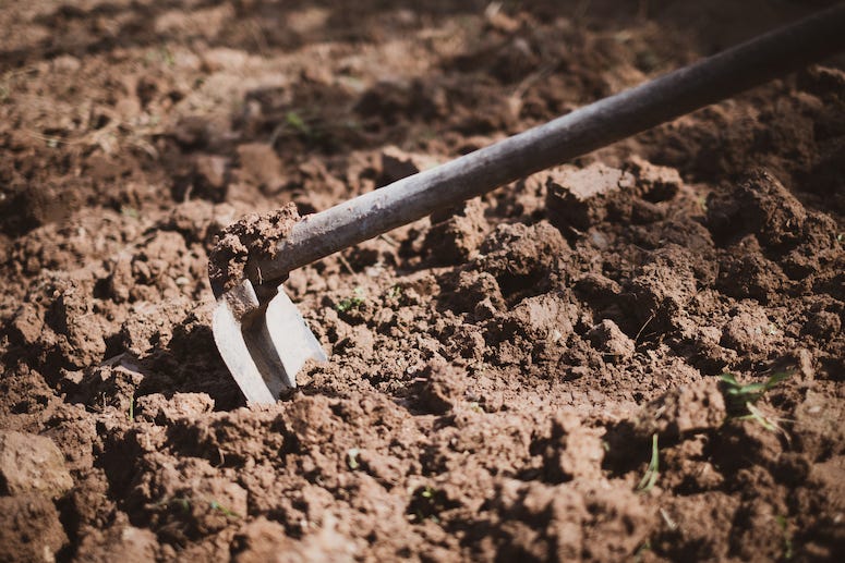 Garden hoe in dirt