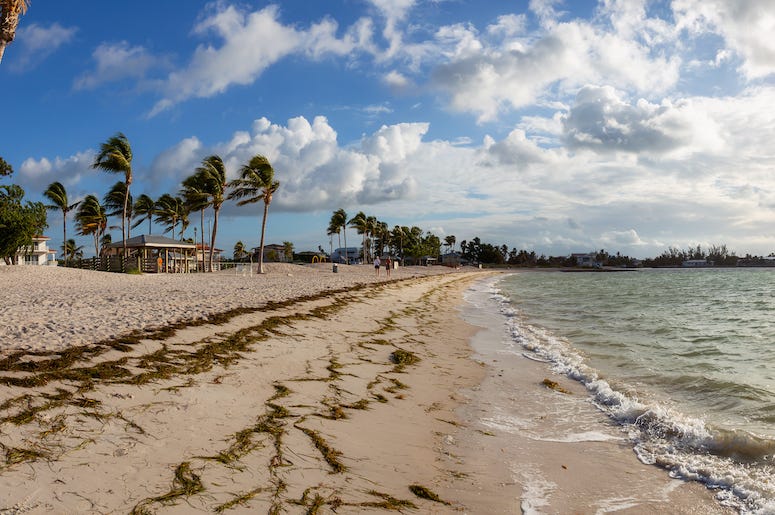Beach, Ocean, Florida