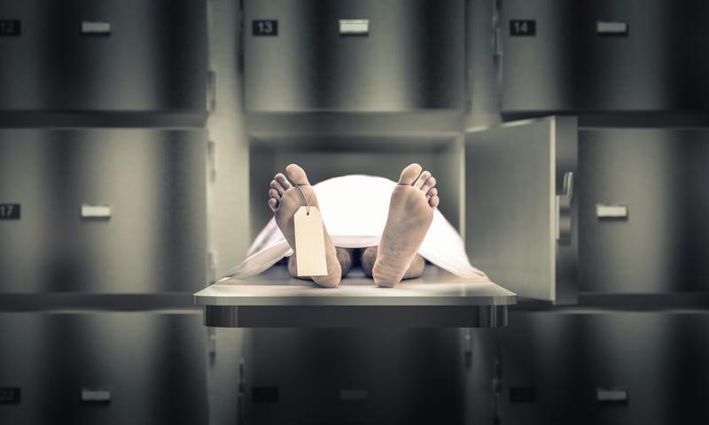 FILE: Body in a morgue.