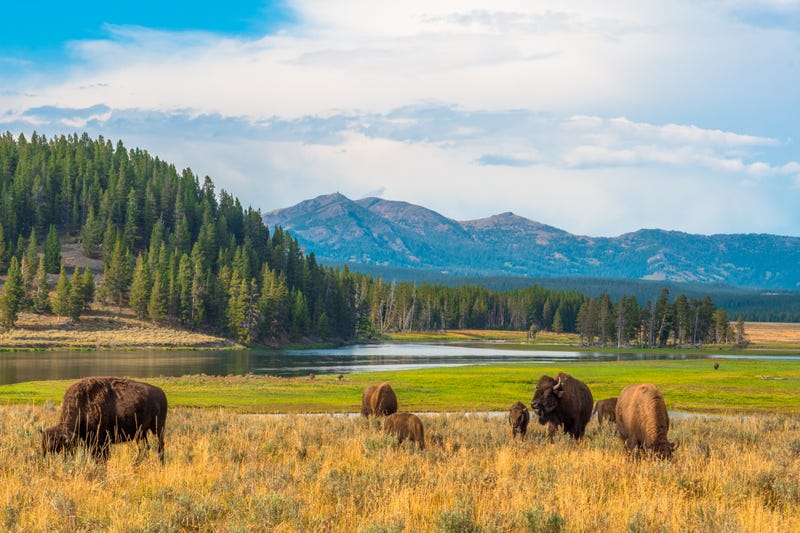National Parks