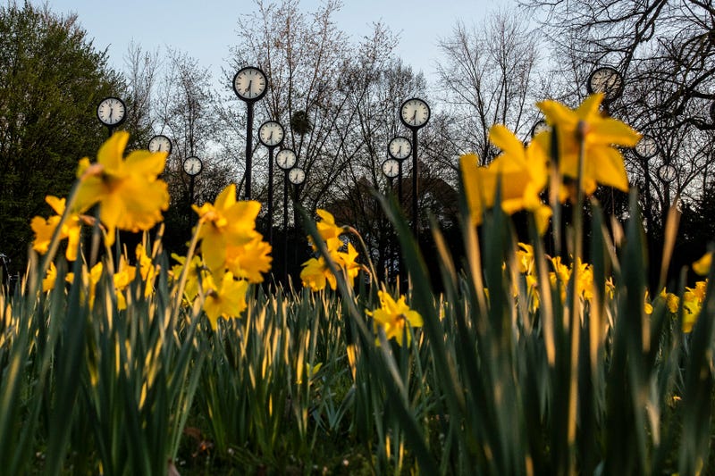 daylight saving time art installation