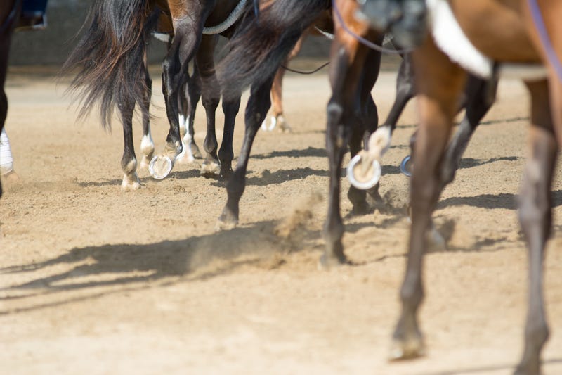 horse track