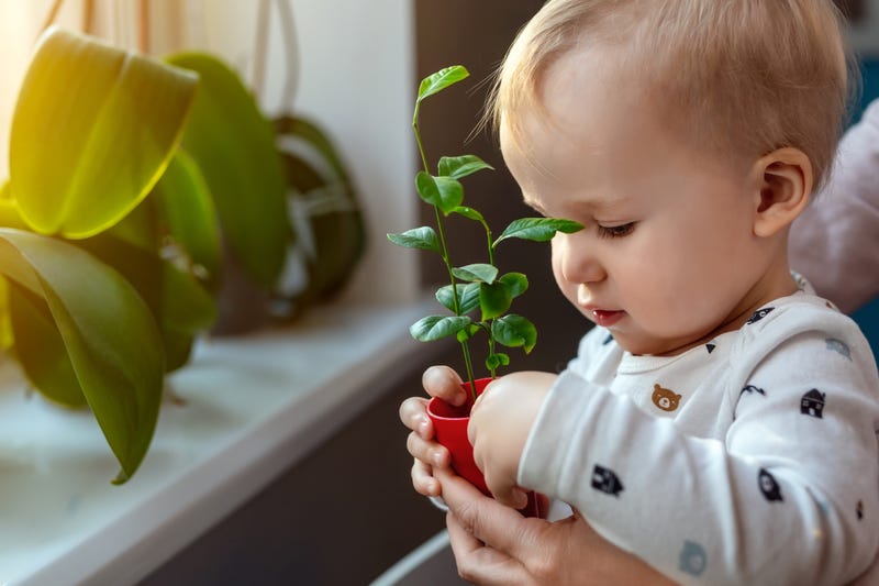 Baby learning about plants