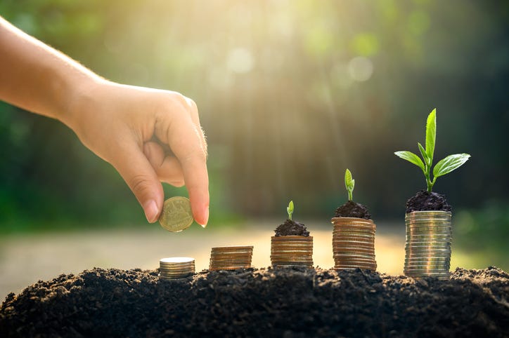 Soil and seedlings on top of stacks of coins