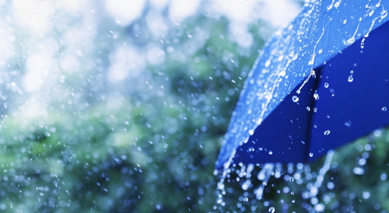 Rainy day