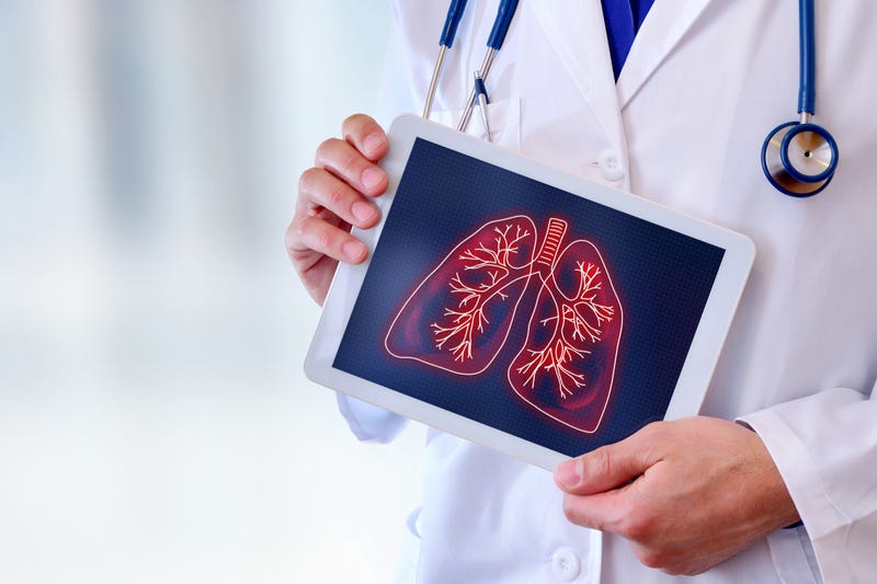 lungs
