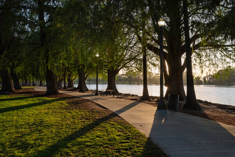Parks officials claim progress in growing Philly’s tree canopy at Council hearing, but witnesses cite setbacks