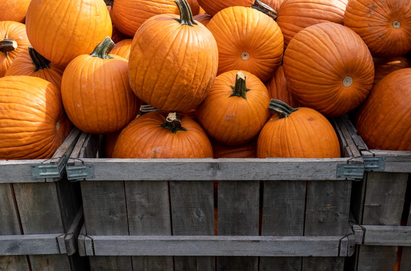Pumpkin