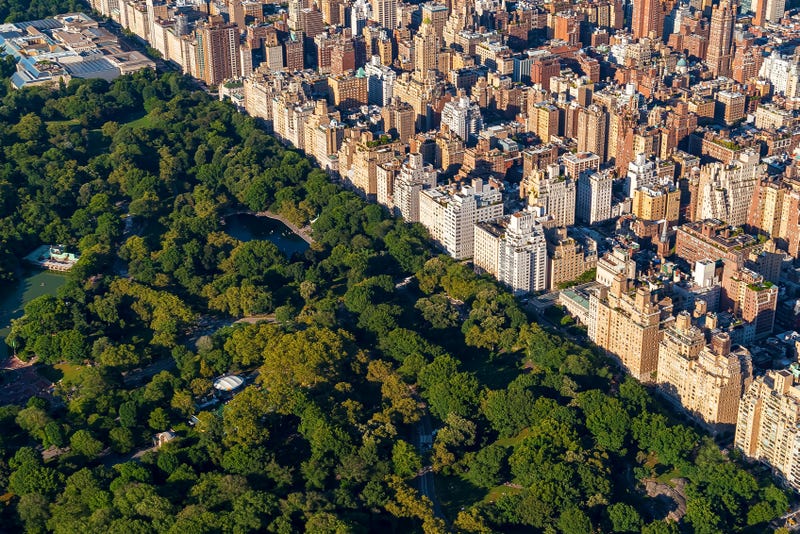 A man's body was recovered in a Central Park lake Friday afternoon.