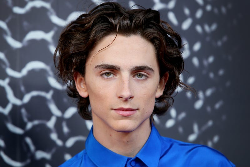 Timothee Chalamet attends the Australian premiere of THE KING at Ritz Cinema