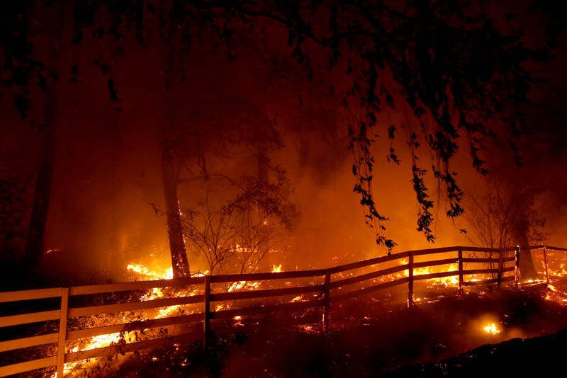 Woman Saves 7 Dogs From Fast Moving California Wildfire