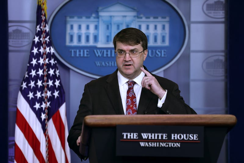 U.S. Veterans Affairs Secretary Robert Wilkie talks to reporters in the Brady Press Briefing Room at the White House November 08, 2019 in Washington, DC.