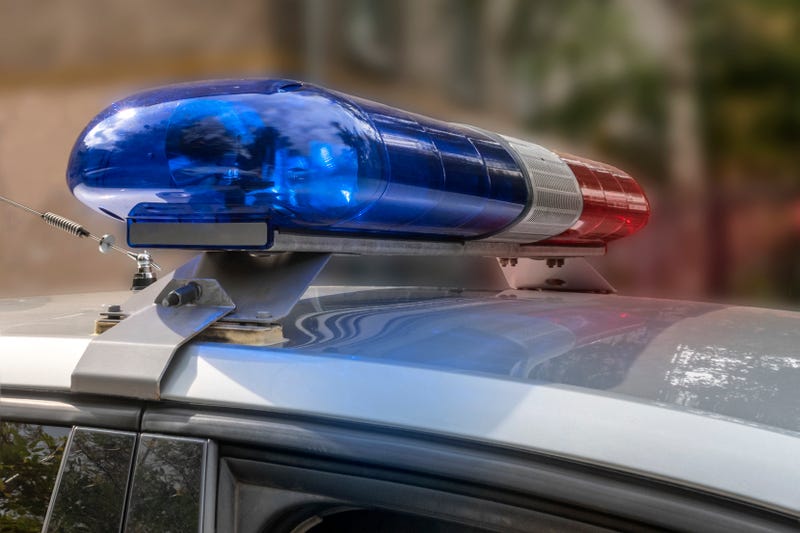 Burglar posing as repairman in Bridgeport, McKinley Park