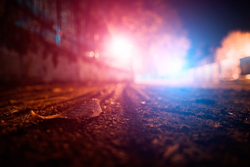 Autumn leaf on the road surface with blue and red police lights in the background - stock photo