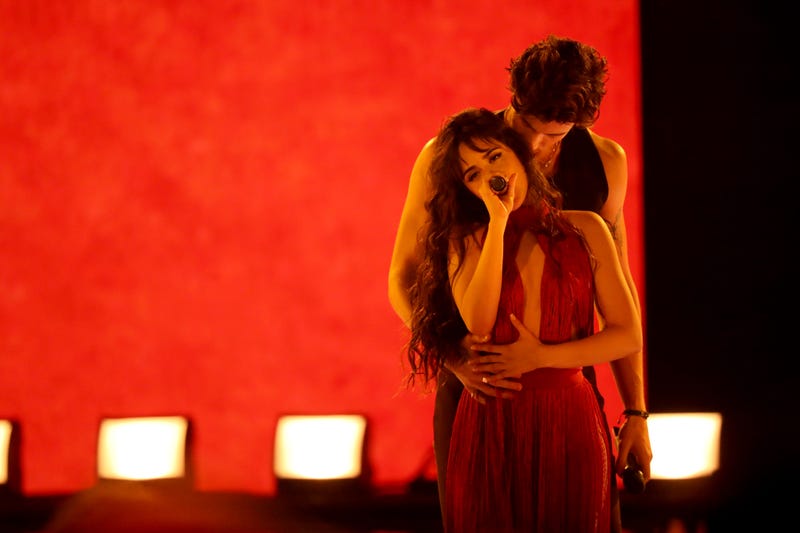 Shawn Mendes and Camila Cabello