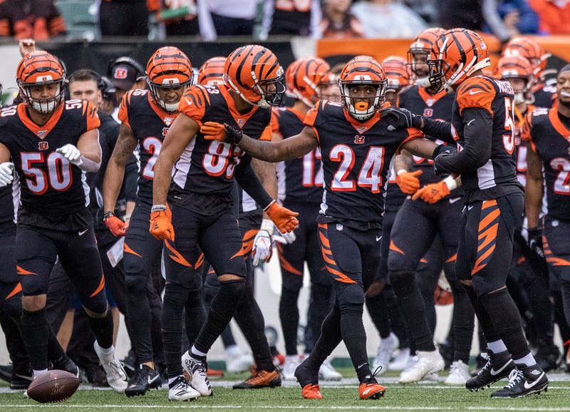 Cincinnati Bengals Defense