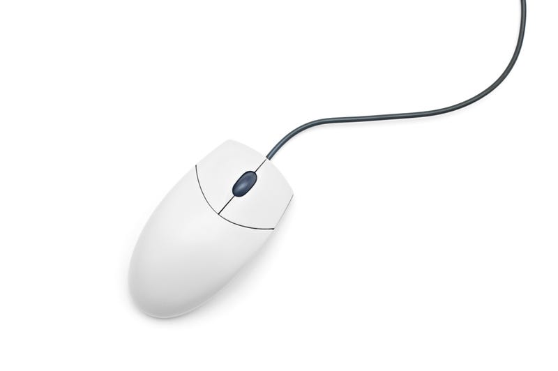 mouse