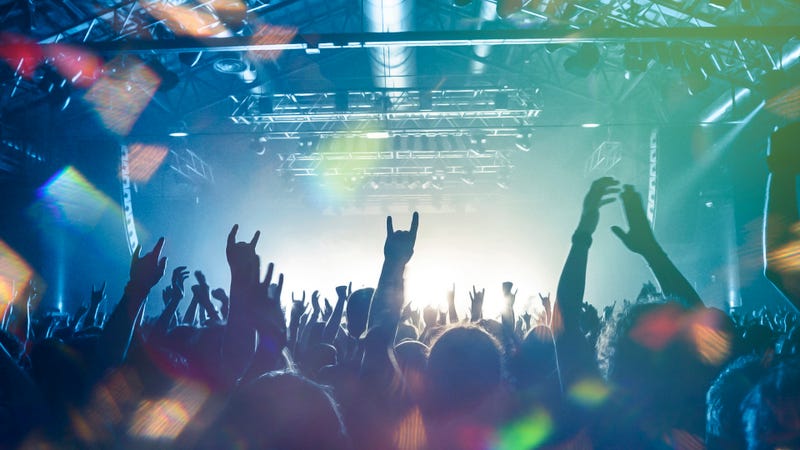 Concert crowd