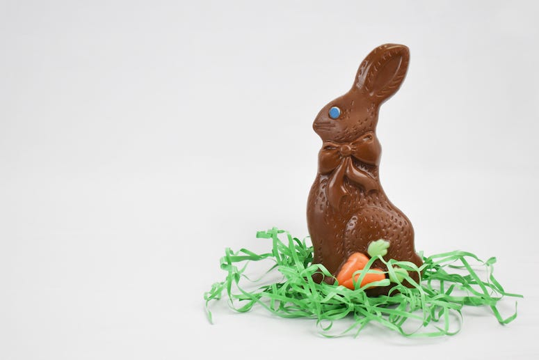 Chocolate Easter bunny