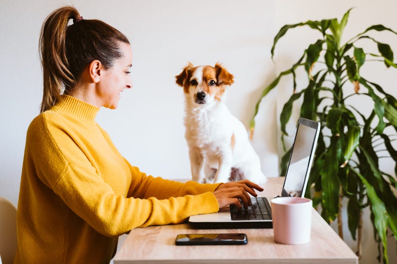 Woman working at home