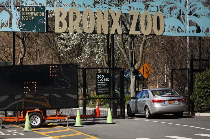 Bronx Zoo