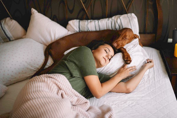 Woman laying with dog on pillow in bed