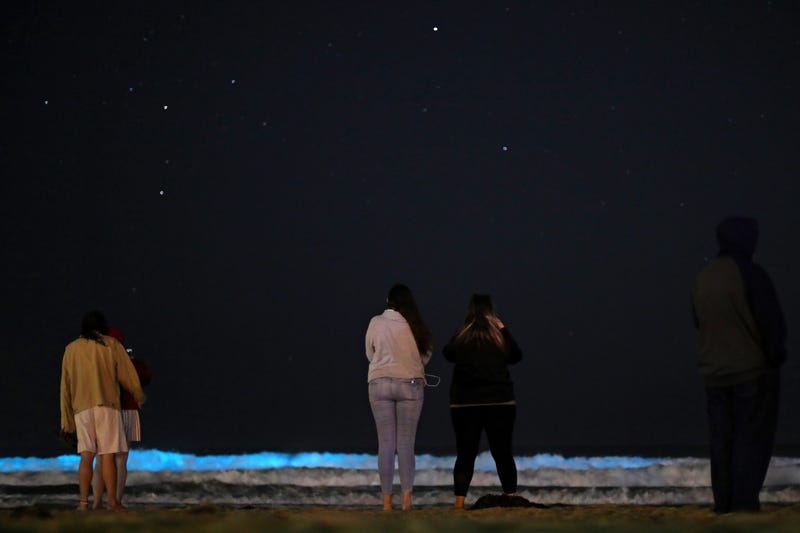 NEWPORT BEACH, CA - APRIL 24: People stand on the beach at night to watch the waves glow blue due to bioluminescence on April 24, 2020 in Newport Beach, California. Bioluminescence is a phenomenon caused by certain kinds of phytoplankton associated with red tide.