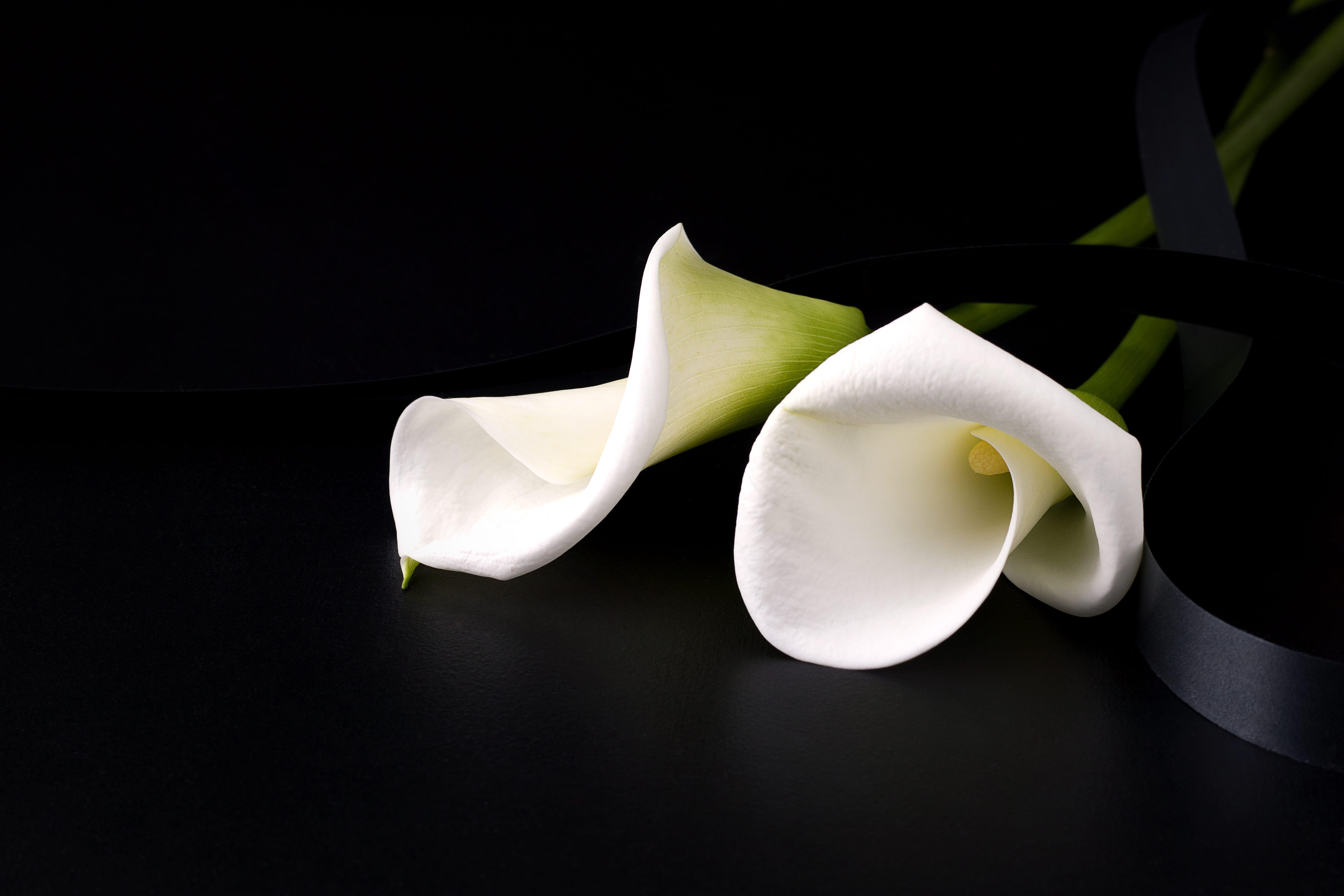 Medical Community Mourns Irene Say Beloved Physician Succumbs To Untimely Death - d8ls2py
