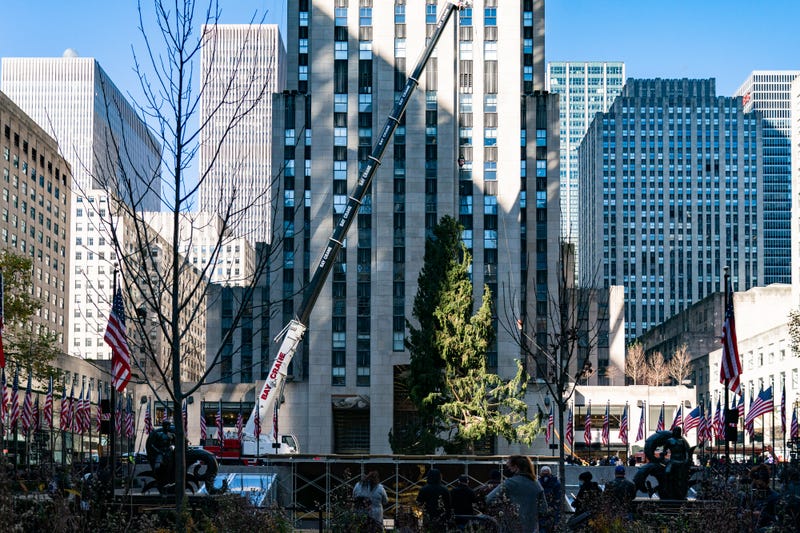 People watch the Rockefeller Center Christmas Tree on November 14, 2020 in New York City.