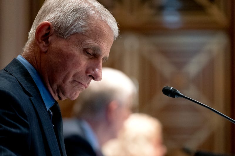 Dr. Anthony Fauci at a Senate subcommittee hearing.