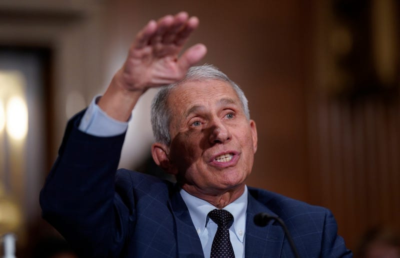Dr. Anthony Fauci testifies before the Senate.