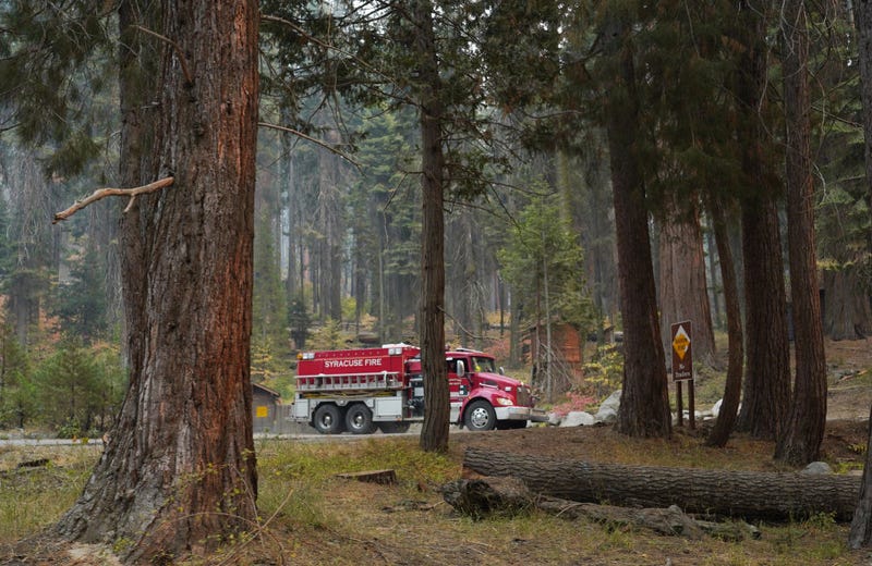 A fire truck drives along Crescent Meadow Road in Giant Forest during a tour of the KNP Complex fire burn area on September 30, 2021 in Sequoia National Park, California.